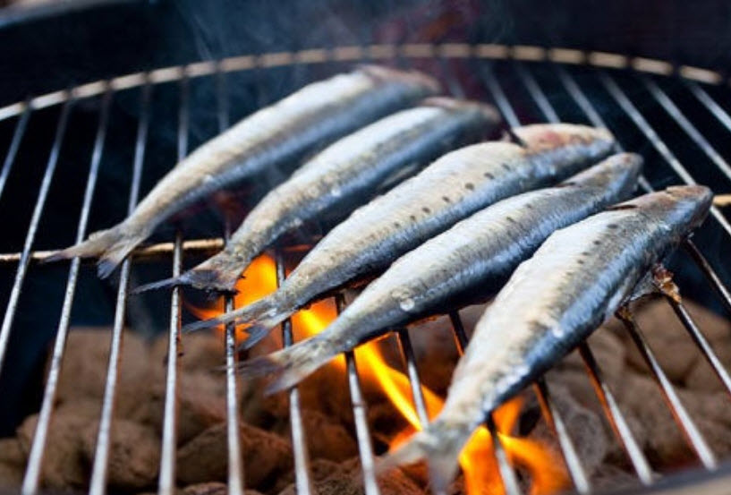 Grilled Sardines