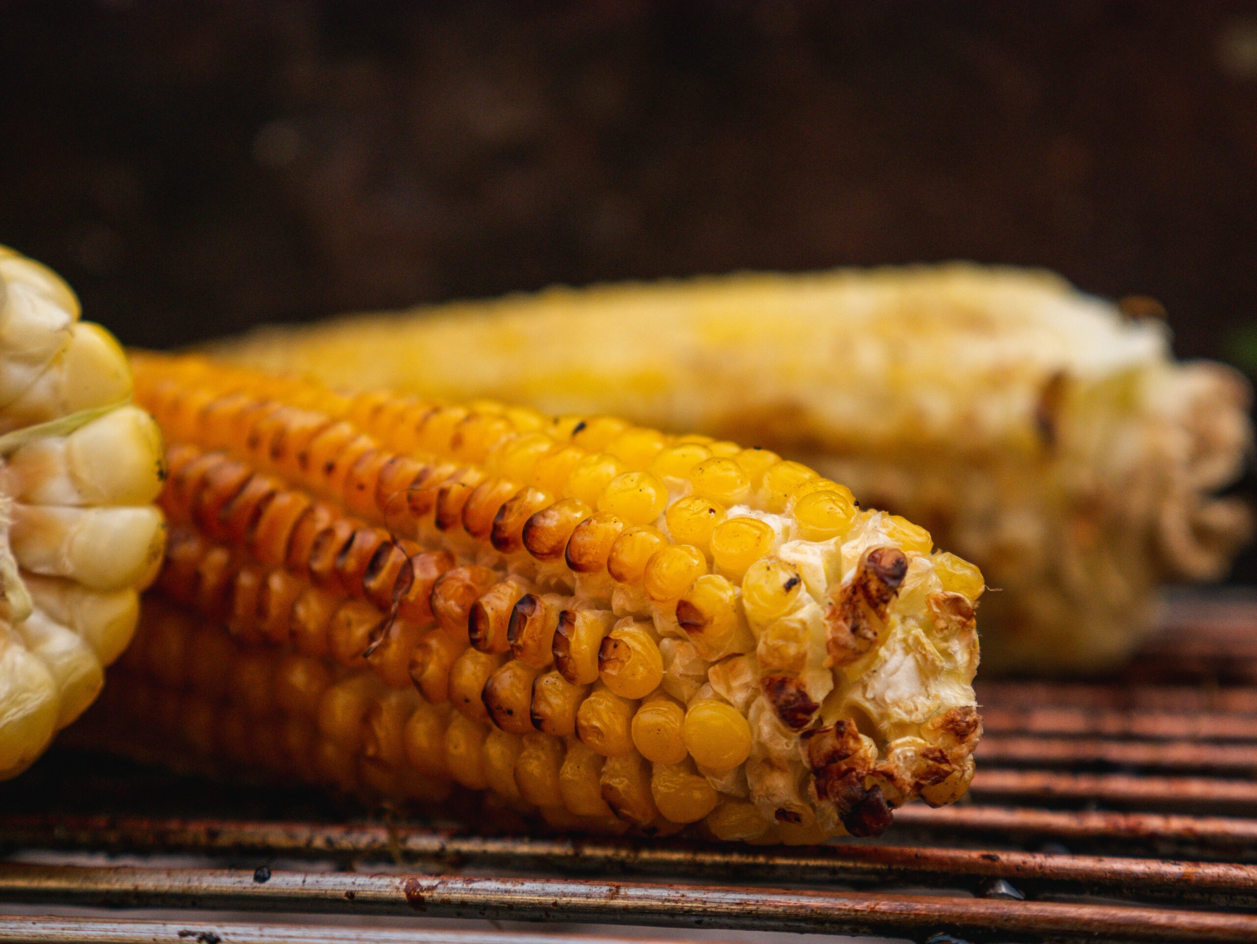 Grilled Corn Cob